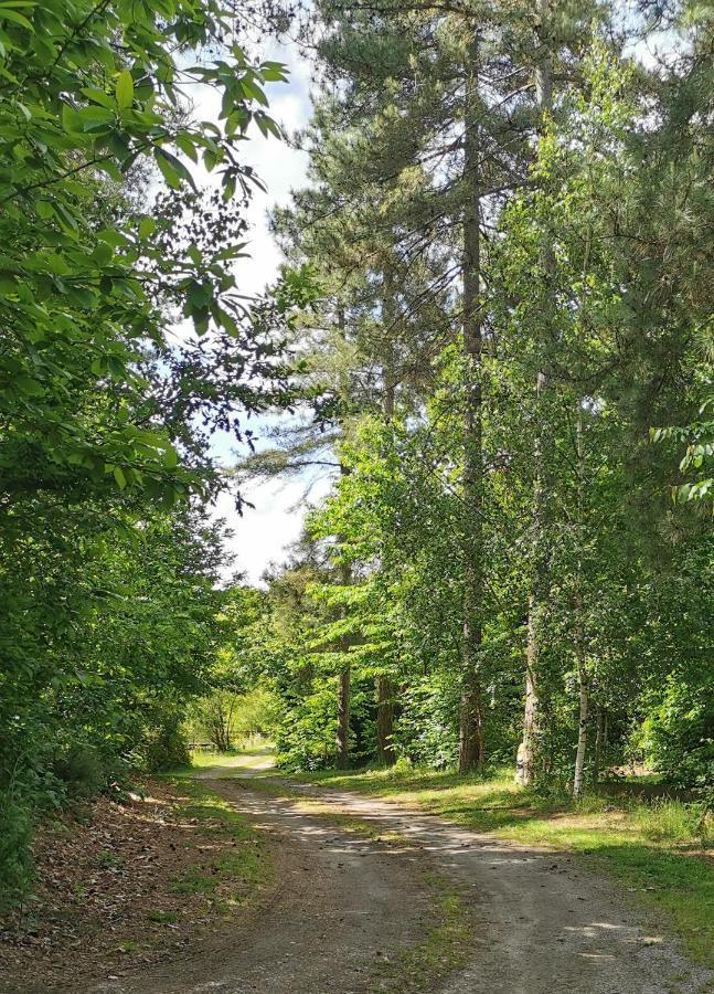 Camping De La Chagnee Saint-Aubin-le-Cloud 外观 照片
