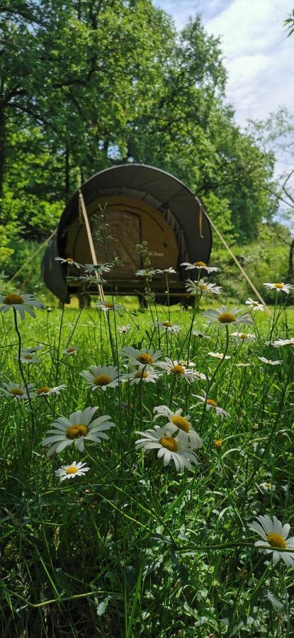 Camping De La Chagnee Saint-Aubin-le-Cloud 外观 照片