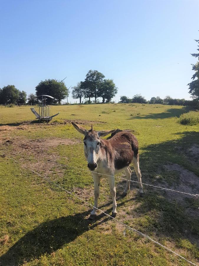 Camping De La Chagnee Saint-Aubin-le-Cloud 外观 照片