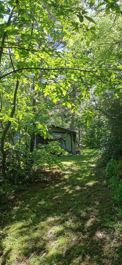 Camping De La Chagnee Saint-Aubin-le-Cloud 外观 照片